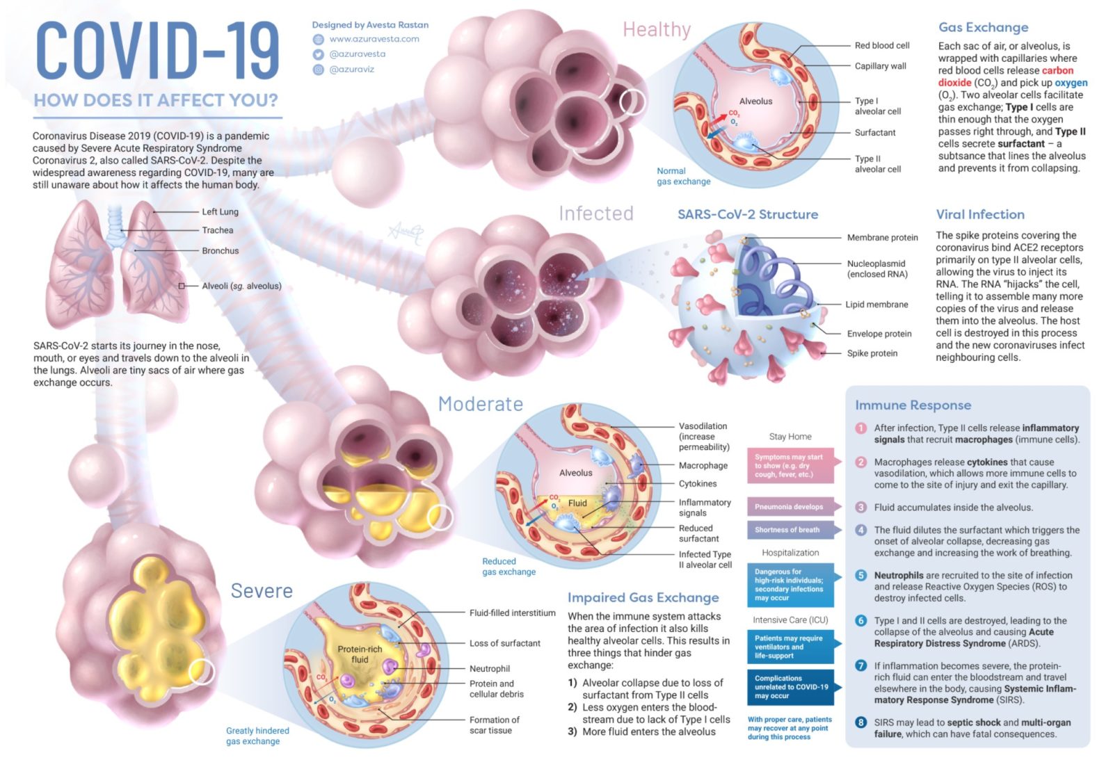 инфографика что делает коронавирус с нашим организмом